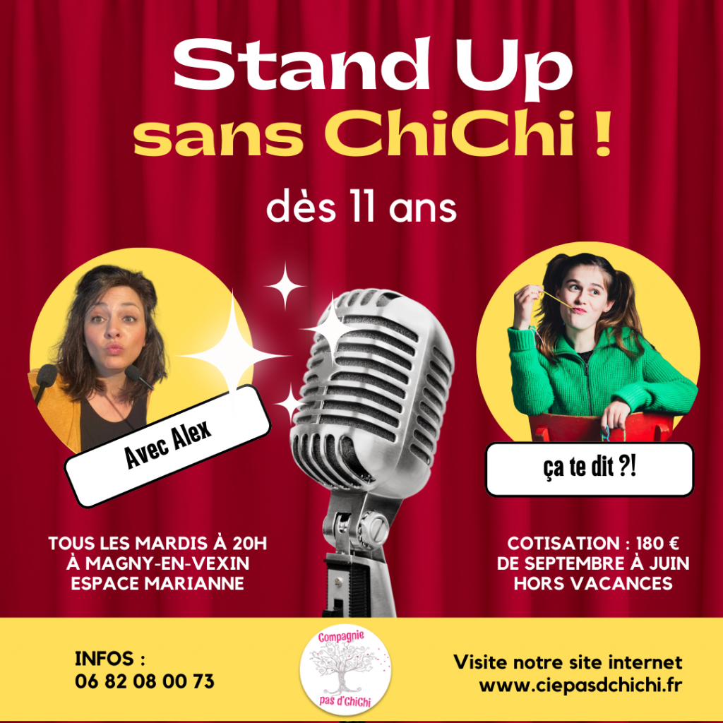 Stand Up Théâtre Vexin theatre ados adolescents humour skets one man show